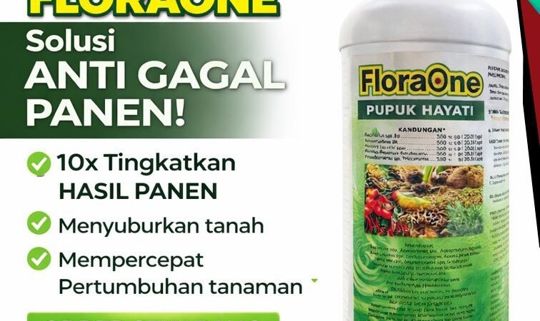 ALAMI!!! TELP! 0812-2882-4834, DISTRIBUTOR Pupuk jagung agar batang besar Alor, PRODUSEN Pupuk agar jagung berbobot Malaka, TOKO Pupuk awal jagung manis Ngada