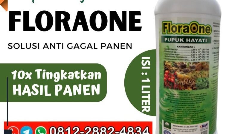 PROMO AMBYAR!!! TELP! 0812-2882-4834, DISTRIBUTOR Pupuk jagung agar berbuah besar Agam, PRODUSEN Pupuk jagung awal tanam Pesisir Selatan, TOKO Pupuk jagung alami Padang Pariaman