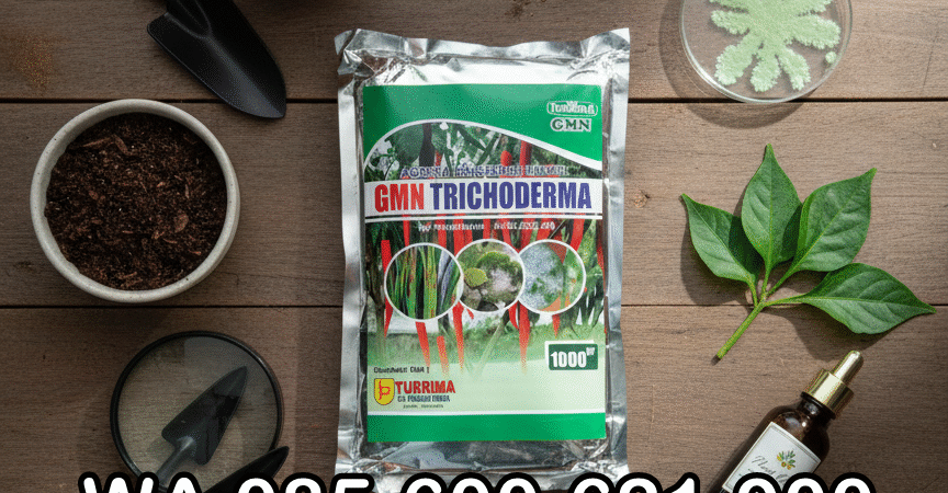 TERBATAS.085-600-621-900, Distributor trichoderma untuk antraknosa Yogyakarta, Agen trichoderma untuk anggur Sleman, Jual trichoderma untuk layu fusarium Yogyakarta