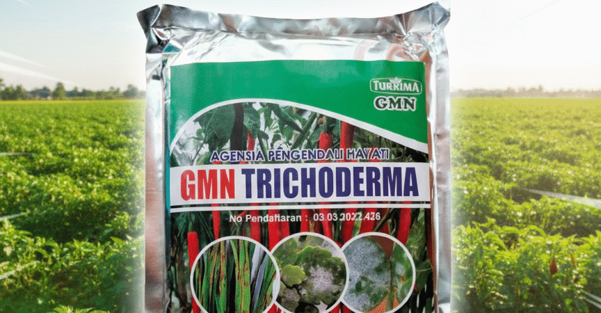 TERBARU.085-600-621-900, Distributor trichoderma untuk bawang merah Bantul, Agen trichoderma untuk padi Gunungkidul,