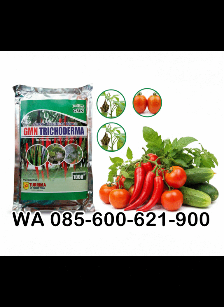 TERBAIK.085-600-621-900, Harga trichoderma untuk cabe Sleman, Distributor trichoderma untuk bawang merah Bantul, Agen trichoderma untuk padi Gunungkidul,
