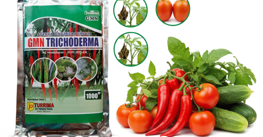 TERBAIK.085-600-621-900, Harga trichoderma untuk cabe Sleman, Distributor trichoderma untuk bawang merah Bantul, Agen trichoderma untuk padi Gunungkidul,