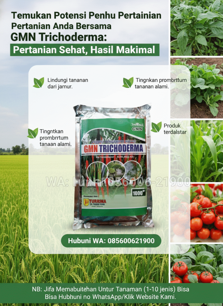 TERBUKTI.085-600-621-900, Harga trichoderma untuk kompos Wonosari, Distributor trichoderma untuk antraknosa Yogyakarta,