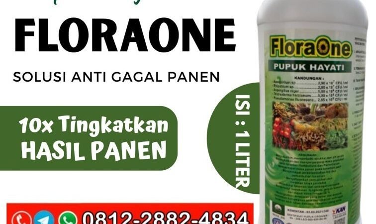 SEDANG PROMO!!! TELP! 0812-2882-4834, JUAL Pupuk jagung hibrida Padang Pariaman, AGEN Pupuk hayati jagung Solok, DISTRIBUTOR Pupuk jagung Lima Puluh Kota
