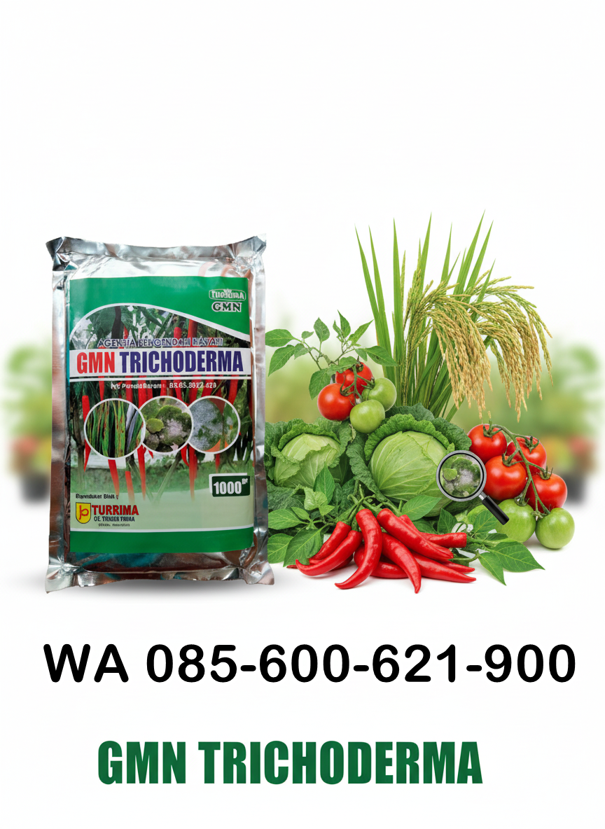 TERBATAS.085-600-621-900, Jual trichoderma untuk layu fusarium Aceh Barat, Harga trichoderma untuk cabe Meulaboh, Distributor trichoderma untuk bawang merah Aceh Barat Daya