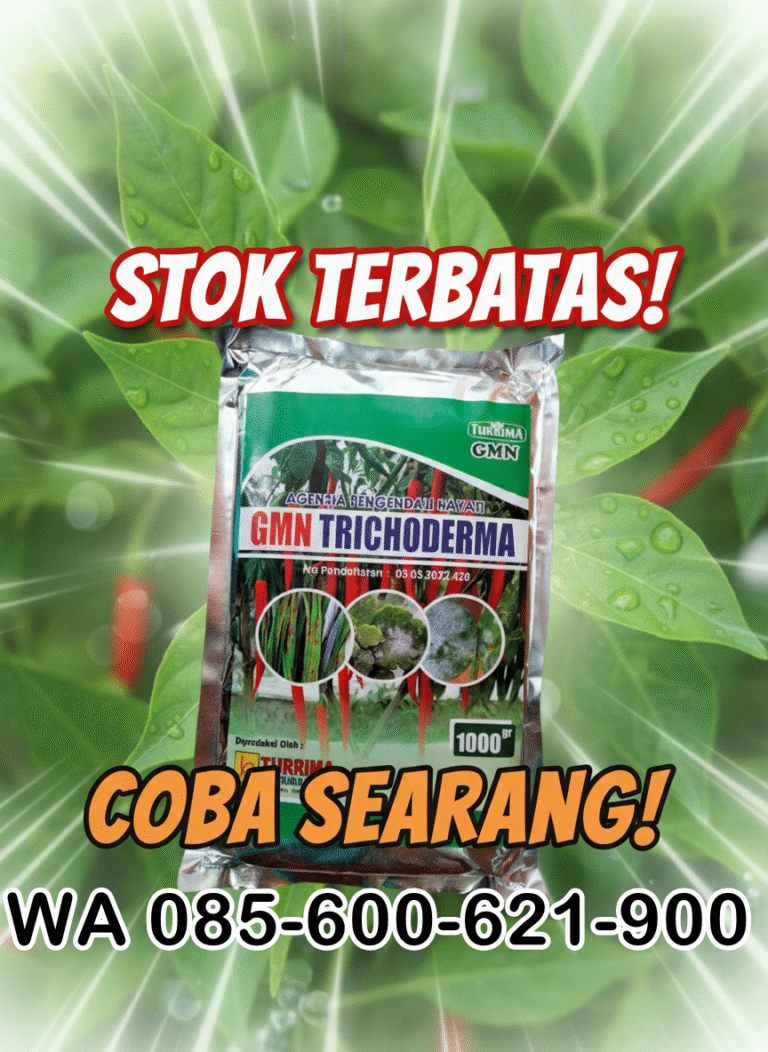 085-600-621-900, Jual trichoderma untuk layu fusarium Kapuas, Harga trichoderma untuk cabe Pulau Pisau, Distributor trichoderma