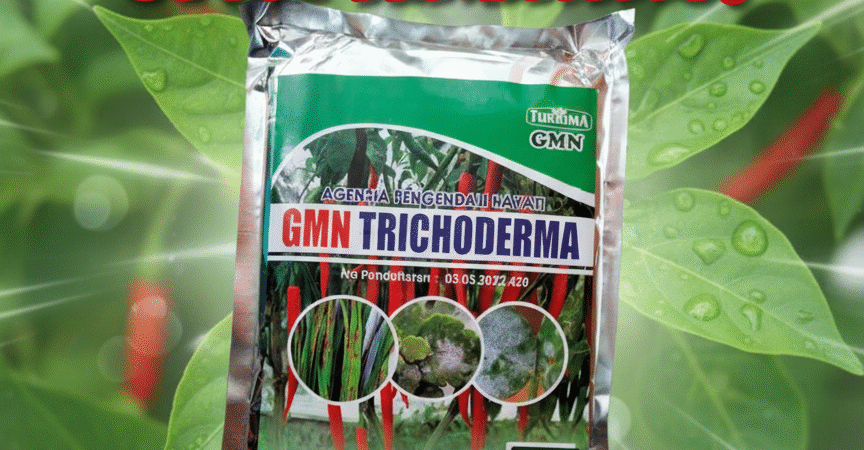 085-600-621-900, Jual trichoderma untuk layu fusarium Kapuas, Harga trichoderma untuk cabe Pulau Pisau, Distributor trichoderma