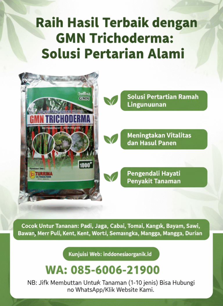 TERBAIK.085-600-621-900, Jual trichoderma untuk layu fusarium Yogyakarta, Harga trichoderma untuk cabe Sleman, Distributor trichoderma untuk bawang merah Bantul