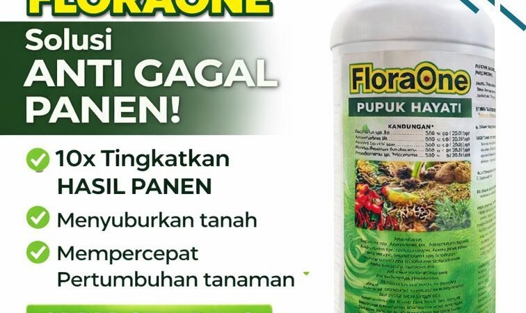 AMPUH!!! TELP! 0812-2882-4834, PRODUSEN Pupuk agar jagung berbobot Malaka, TOKO Pupuk awal jagung manis Ngada, SUPPLIER Pupuk jagung biar subur Lembata