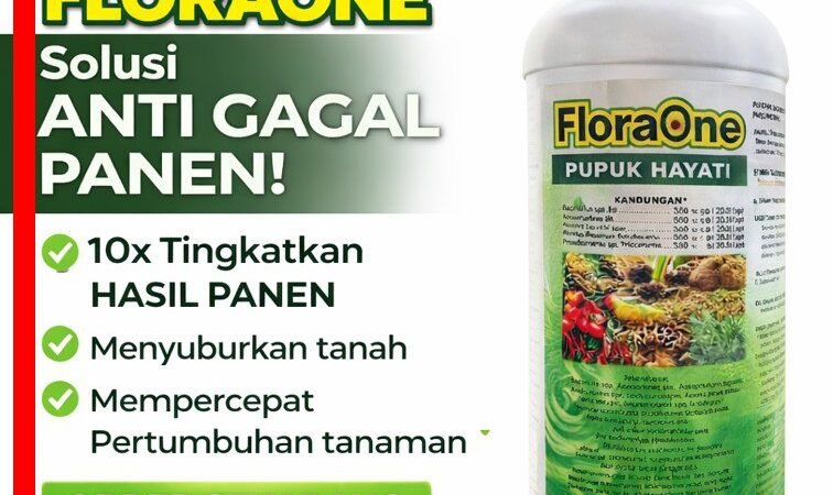 PROMO AMBYAR!!! TELP! 0812-2882-4834, PRODUSEN Pupuk hayati cair jagung Manggarai, TOKO Pupuk dasar jagung Sikka, SUPPLIER Pupuk daun jagung Sumba Barat Daya