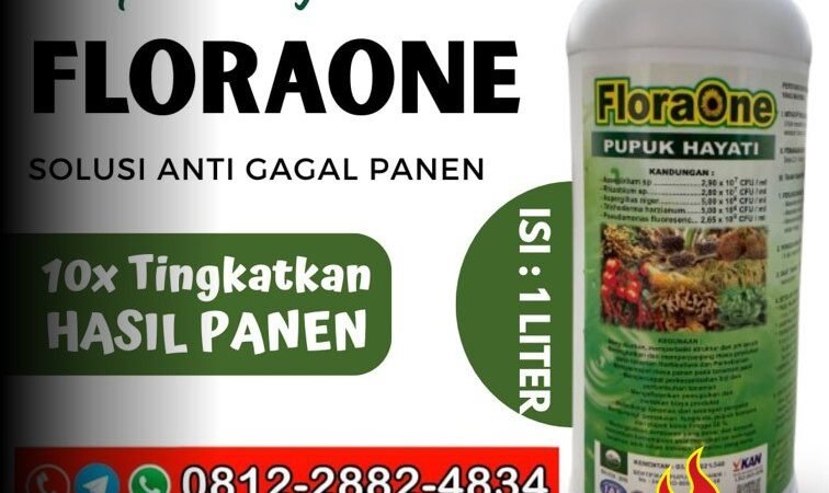 TERBAIK!!! TELP! 0812-2882-4834, PRODUSEN Pupuk daun jagung hibrida Sijunjung, TOKO Pupuk dasar jagung manis Dharmasraya, SUPPLIER Pupuk jagung FLORAONE Kota Padang