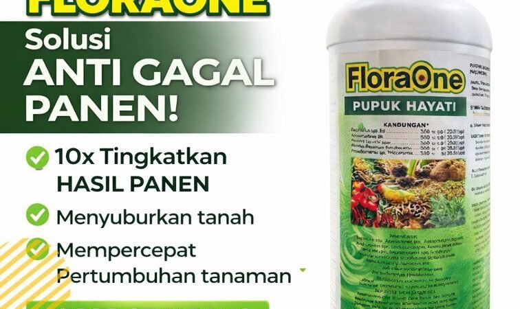 TERPERCAYA!!! TELP! 0812-2882-4834, SUPPLIER Pupuk jagung biar subur Lembata, PENYEDIA Pupuk jagung baru tanam Kupang, PABRIK Pupuk jagung biar cepat besar Manggarai
