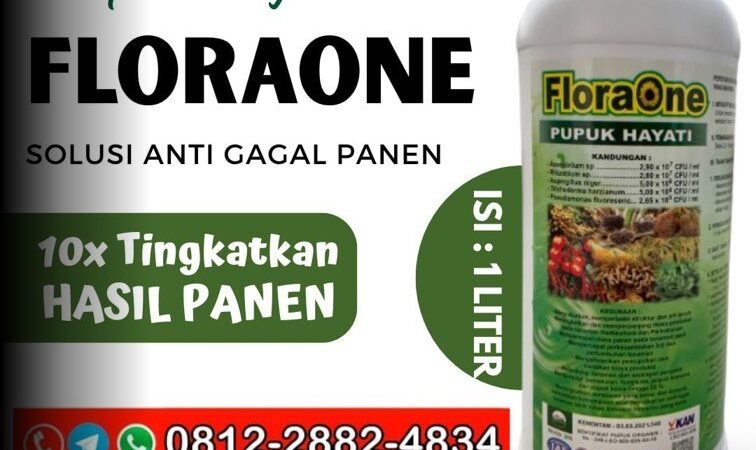 TERPERCAYA!!! TELP! 0812-2882-4834, TOKO Pupuk dasar jagung manis Dharmasraya, SUPPLIER Pupuk jagung FLORAONE Kota Padang, PENYEDIA Pupuk jagung fase vegetatif Agam