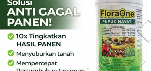TERBAIK!!! TELP! 0812-2882-4834, TOKO Pupuk awal jagung manis Ngada, SUPPLIER Pupuk jagung biar subur Lembata, PENYEDIA Pupuk jagung baru tanam Kupang