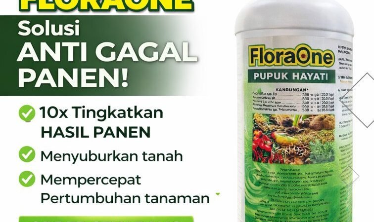 TERBAIK!!! TELP! 0812-2882-4834, TOKO Pupuk awal jagung manis Ngada, SUPPLIER Pupuk jagung biar subur Lembata, PENYEDIA Pupuk jagung baru tanam Kupang