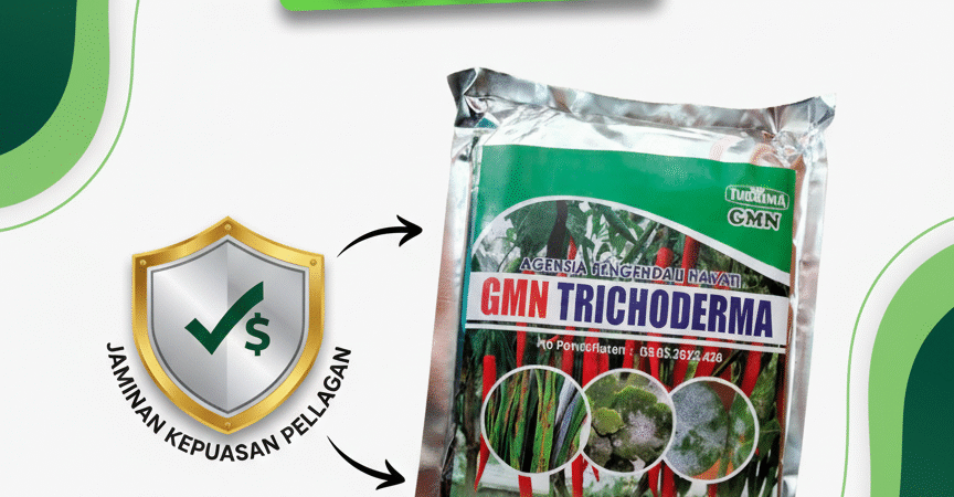 SEDANG DISKON!!! TELP! 0856-0062-1900, AGEN Pupuk awal tanaman Padi ir 64 super Pinrang, DISTRIBUTOR Obat Padi inpari 32 promeo 1 Kg Sidrap