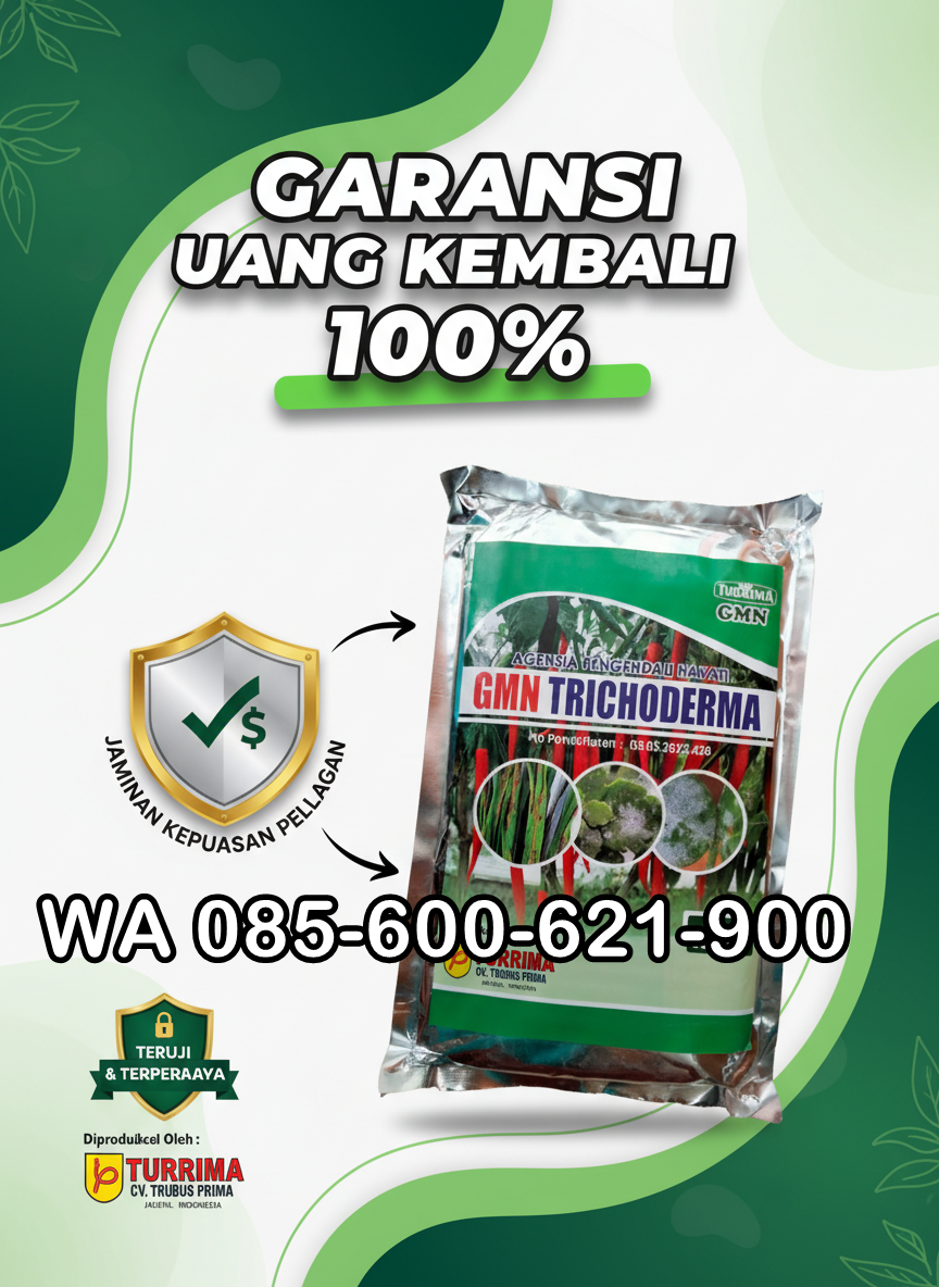 SEDANG DISKON!!! TELP! 0856-0062-1900, AGEN Pupuk awal tanaman Padi ir 64 super Pinrang, DISTRIBUTOR Obat Padi inpari 32 promeo 1 Kg Sidrap