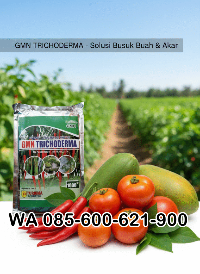 SEDANG DISKON!!! TELP! 0856-0062-1900, AGEN Pupuk awal tanaman Padi ir 64 super Pinrang, DISTRIBUTOR Obat Padi inpari 32 promeo 1 Kg Sidrap