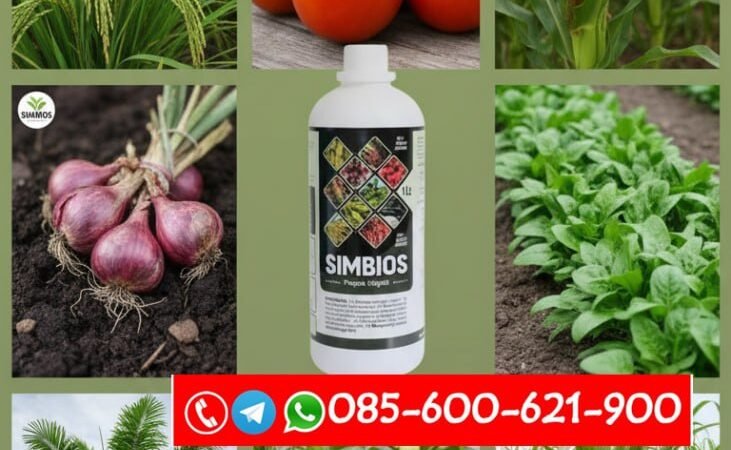 ALAMI!!! TELP! 0856-0062-1900, AGEN Pupuk Jagung NASA 29 anti karat Lampung Tengah, DISTRIBUTOR Pupuk Jagung JH 27 anti busuk batang Lampung Selatan
