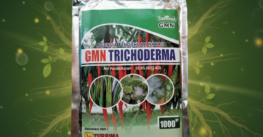 AMPUH!!! TELP! 0823-2292-4990, AGEN Pupuk awal tanaman Padi bramo Aceh Tamiang, DISTRIBUTOR Pupuk awal Tanaman Padi bridantara 8 Banda Aceh