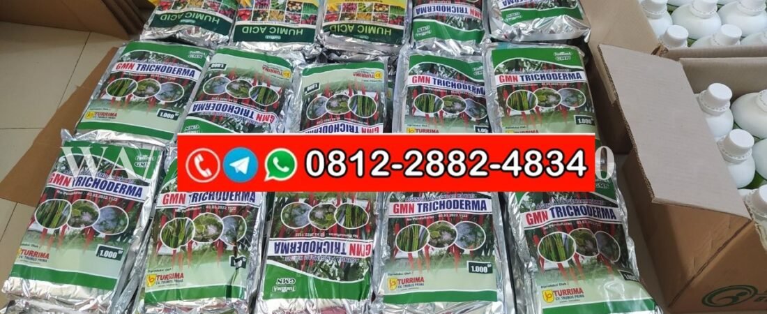 PROMO AMBYAR!!! TELP! 0856-0062-1900, AGEN Pupuk Penyakit layu fusarium Padi ghg 03 Manggarai, DISTRIBUTOR Pupuk busuk akar Padi gayatri Manggarai Barat