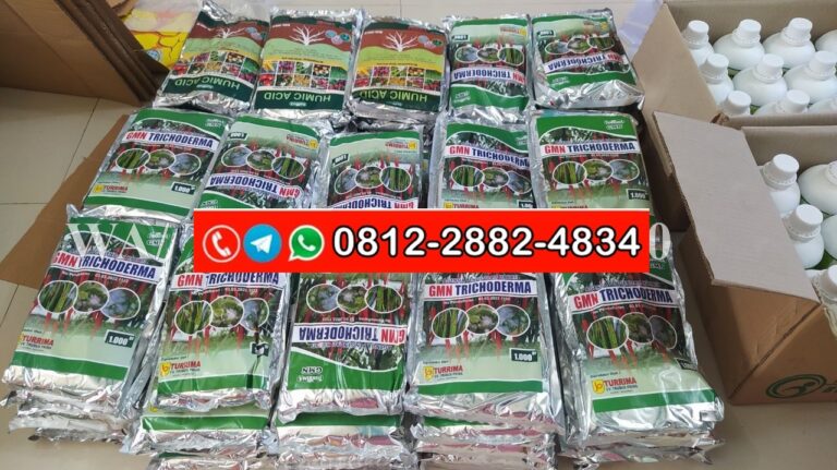PROMO AMBYAR!!! TELP! 0856-0062-1900, AGEN Pupuk Penyakit layu fusarium Padi ghg 03 Manggarai, DISTRIBUTOR Pupuk busuk akar Padi gayatri Manggarai Barat