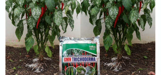 ALAMI!!! TELP! 0856-0062-1900, PRODUSEN Obat Padi inpari 32 hdb daun menguning Luwu, TOKO Obat Padi inpari 32 premium kerdil Maros