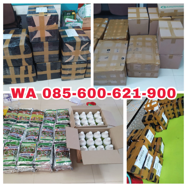 ORGANIK!!! TELP! 0856-0062-1900, DISTRIBUTOR Obat Padi inpari 32 promeo 1 Kg Sidrap, PRODUSEN Obat Padi inpari 32 hdb daun menguning Luwu