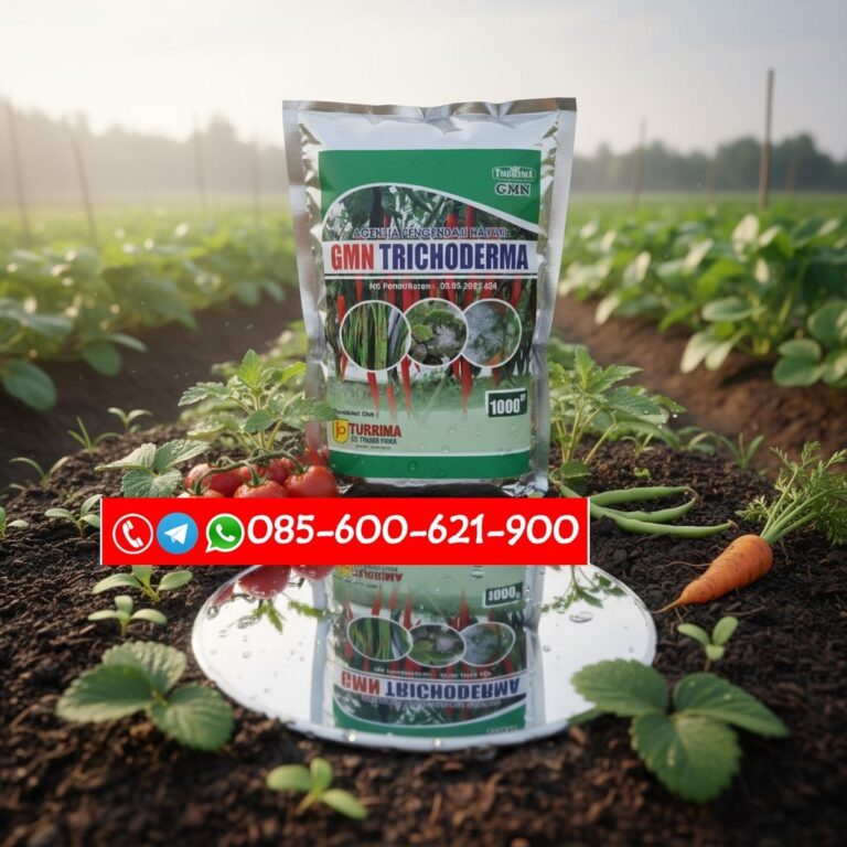 TERPERCAYA!!! TELP! 0823-2292-4990, AGEN Pupuk trichoderma untuk Padi aceh Aceh Utara, DISTRIBUTOR Pupuk trichoderma untuk Padi arjuna Pidie