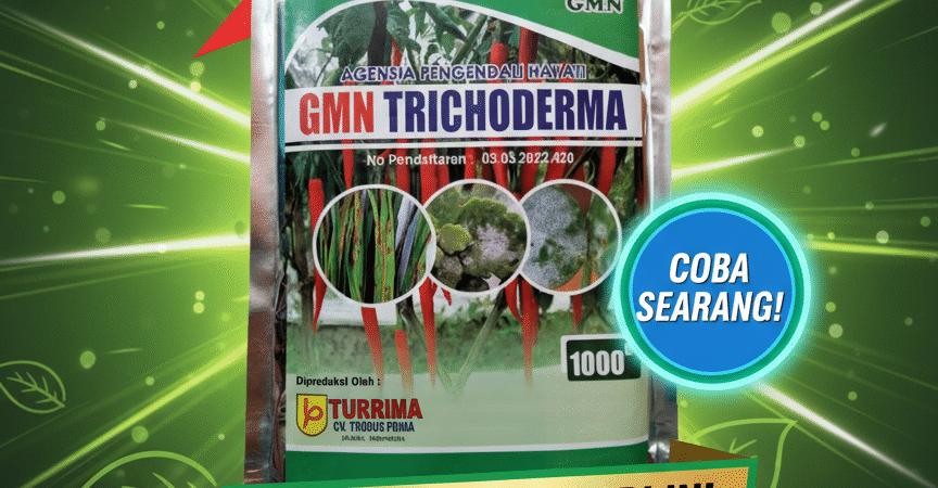 ASLI!!! TELP! 0823-2292-4990, DISTRIBUTOR Pupuk trichoderma untuk Padi arjuna Pidie, PRODUSEN Pupuk trichoderma SP Untuk Padi amazone 218 Aceh Timur