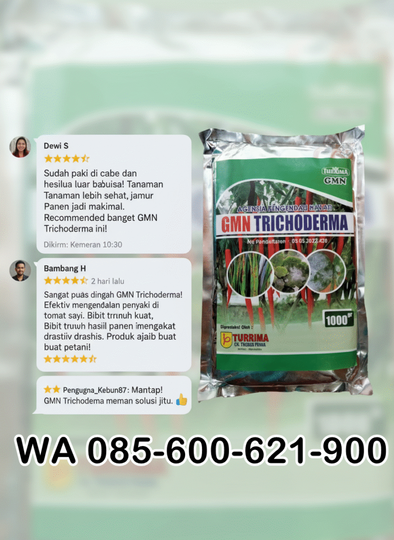 PROMO AMBYAR!!! TELP! 0856-0062-1900, JUAL Obat Padi japonica anti bakteri Soppeng, AGEN Pupuk Padi golden petir 1 Kg Bone
