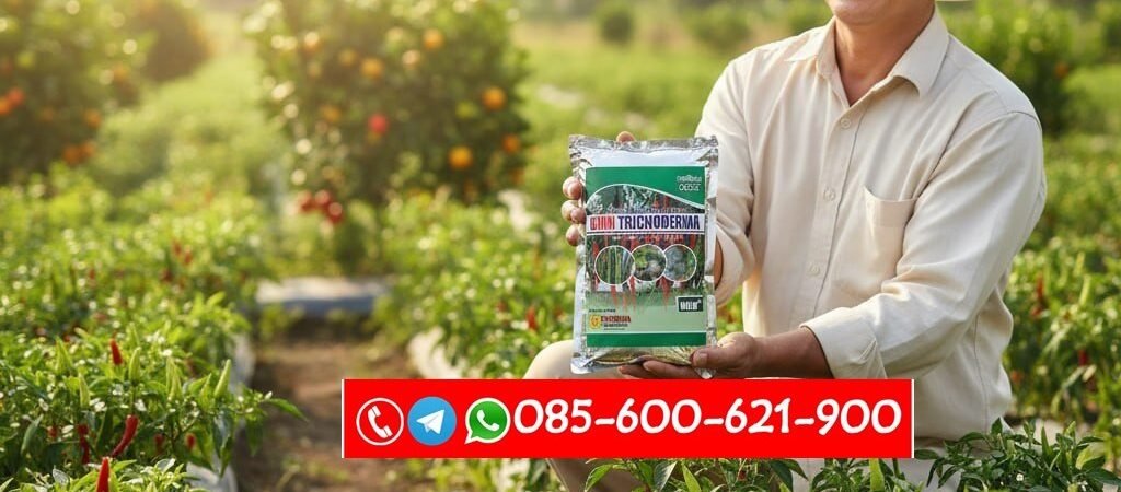 ASLI!!! TELP! 0856-0062-1900, JUAL Pupuk Penyakit layu Padi gatot kaca Kupang, AGEN Pupuk Penyakit layu fusarium Padi ghg 03 Manggarai