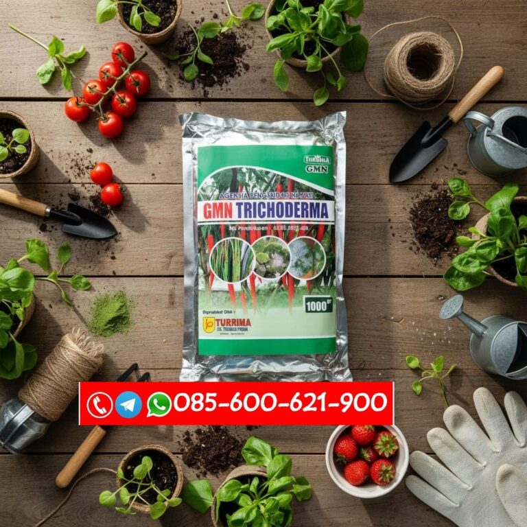 TERBAIK!!! TELP! 0856-0062-1900, JUAL Pupuk Padi hibrida mapan 05 Setelah tanam Flores, AGEN Pupuk awal tanam Padi inpari 32 Sumba Timur