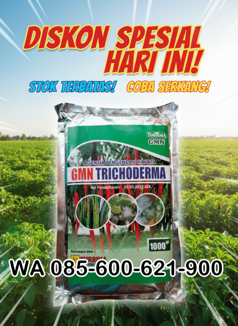 ALAMI!!! TELP! 0823-2292-4990, JUAL Pupuk awal tanam Padi bagendit Aceh Selatan, AGEN Pupuk awal tanaman Padi bramo Aceh Tamiang