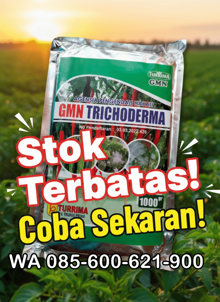 SEDANG PROMO!!! TELP! 0856-0062-1900, JUAL Pupuk awal Padi inpari 32 maxipro Wajo, AGEN Pupuk awal tanaman Padi ir 64 super Pinrang