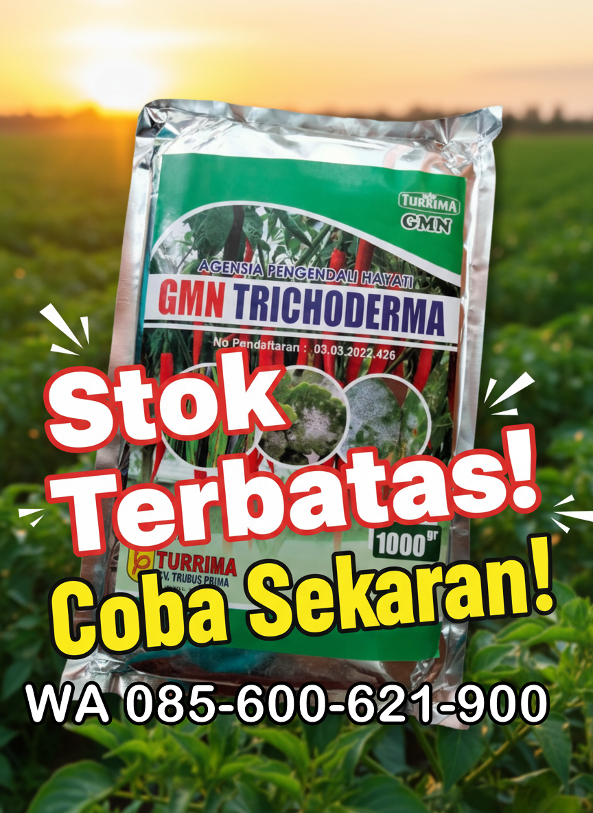 SEDANG PROMO!!! TELP! 0856-0062-1900, JUAL Pupuk awal Padi inpari 32 maxipro Wajo, AGEN Pupuk awal tanaman Padi ir 64 super Pinrang