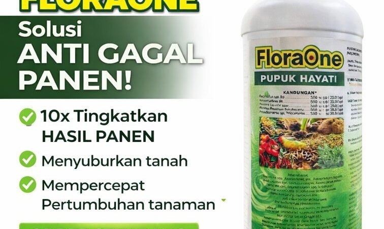 TERBUKTI!!! TELP! 0812-2882-4834, JUAL Pupuk jagung bagus Sikka, AGEN Pupuk buat jagung Sumba Barat Daya, DISTRIBUTOR Pupuk buah jagung Ende