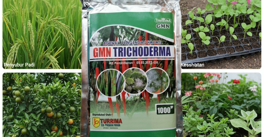 TERBUKTI!!! TELP! 0856-0062-1900, PABRIK Pupuk awal tanam Padi inpari 32 Bone, JUAL Pupuk awal Padi inpari 32 maxipro Wajo