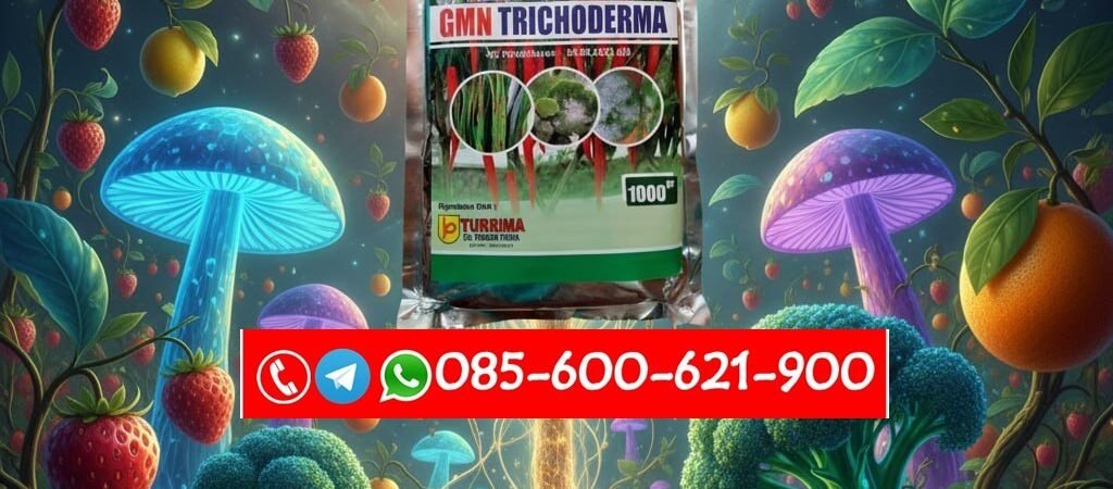 ALAMI!!! TELP! 0856-0062-1900, PENYEDIA Pupuk alami Padi herkules Sikka, PABRIK Pupuk Padi hms700 terbaik Malaka