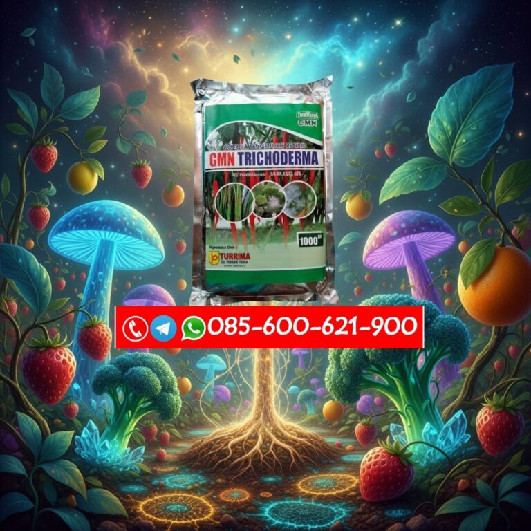 ALAMI!!! TELP! 0856-0062-1900, PENYEDIA Pupuk alami Padi herkules Sikka, PABRIK Pupuk Padi hms700 terbaik Malaka