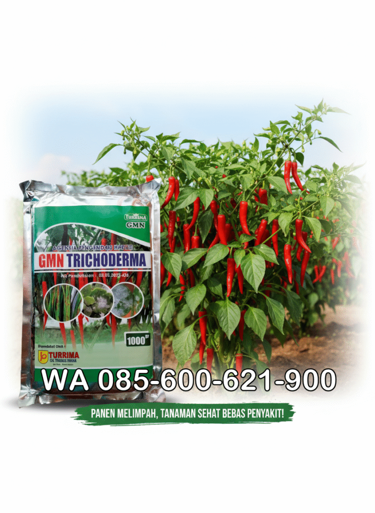 ORGANIK!!! TELP! 0823-2292-4990, PABRIK Pupuk awal Tanam Padi brantas Aceh Barat, JUAL Pupuk awal tanam Padi bagendit Aceh Selatan