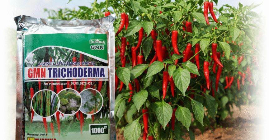 SEDANG DISKON!!! TELP! 0823-2292-4990, PENYEDIA Pupuk awal Tanam Padi bima sakti Pidie Jaya, PABRIK Pupuk awal Tanam Padi brantas Aceh Barat