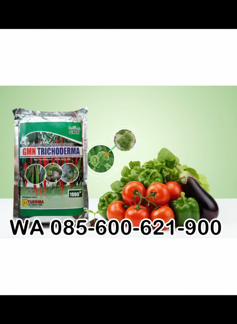 ALAMI!!! TELP! 0856-0062-1900, PRODUSEN Obat Padi inpari 32 hdb daun menguning Luwu, TOKO Obat Padi inpari 32 premium kerdil Maros