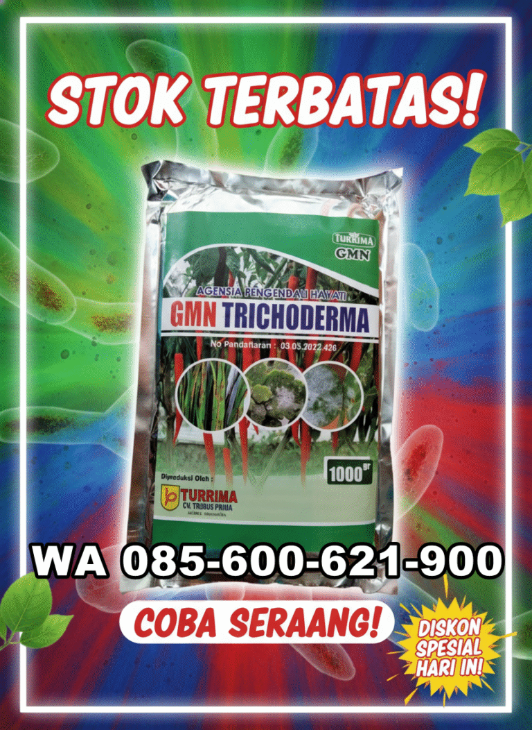 PROMO AMBYAR!!! TELP! 0823-2292-4990, PRODUSEN Pupuk trichoderma SP Untuk Padi amazone 218 Aceh Timur, TOKO Pupuk awal Tanam Padi basmati Aceh Besar