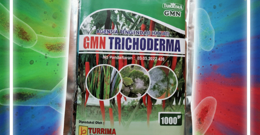 PROMO AMBYAR!!! TELP! 0823-2292-4990, PRODUSEN Pupuk trichoderma SP Untuk Padi amazone 218 Aceh Timur, TOKO Pupuk awal Tanam Padi basmati Aceh Besar