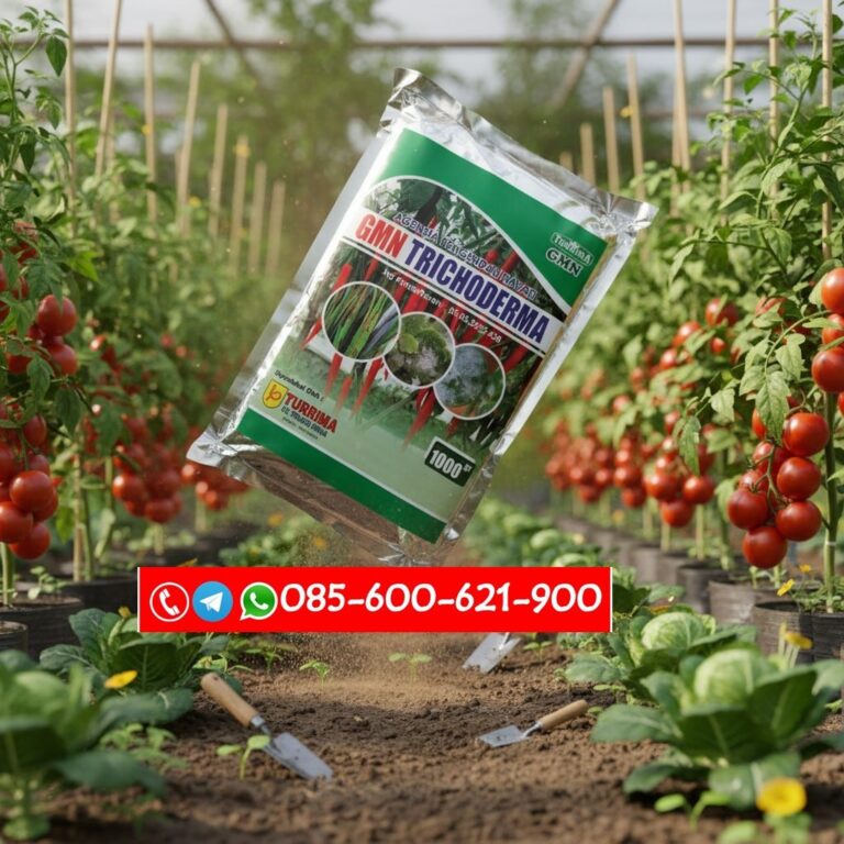 SEDANG PROMO!!! TELP! 0856-0062-1900, PRODUSEN Pupuk hayati Padi hibrida Manggarai Timur, TOKO Pupuk organik Padi hibrida f1 Belu