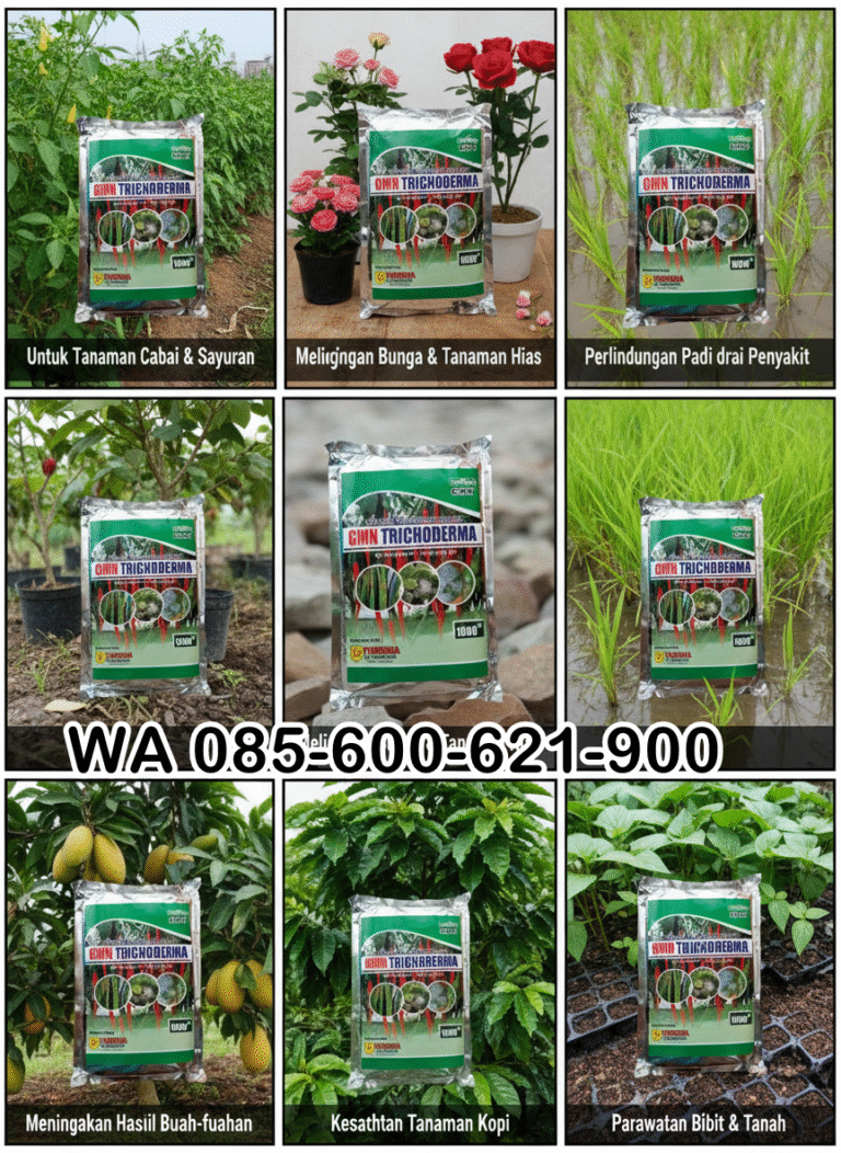 SEDANG PROMO!!! TELP! 0856-0062-1900, SUPPLIER Obat Padi inpari 32 hdb daun menguning Manggarai Timur, PENYEDIA Obat Padi inpari 32 premium kerdil Belu