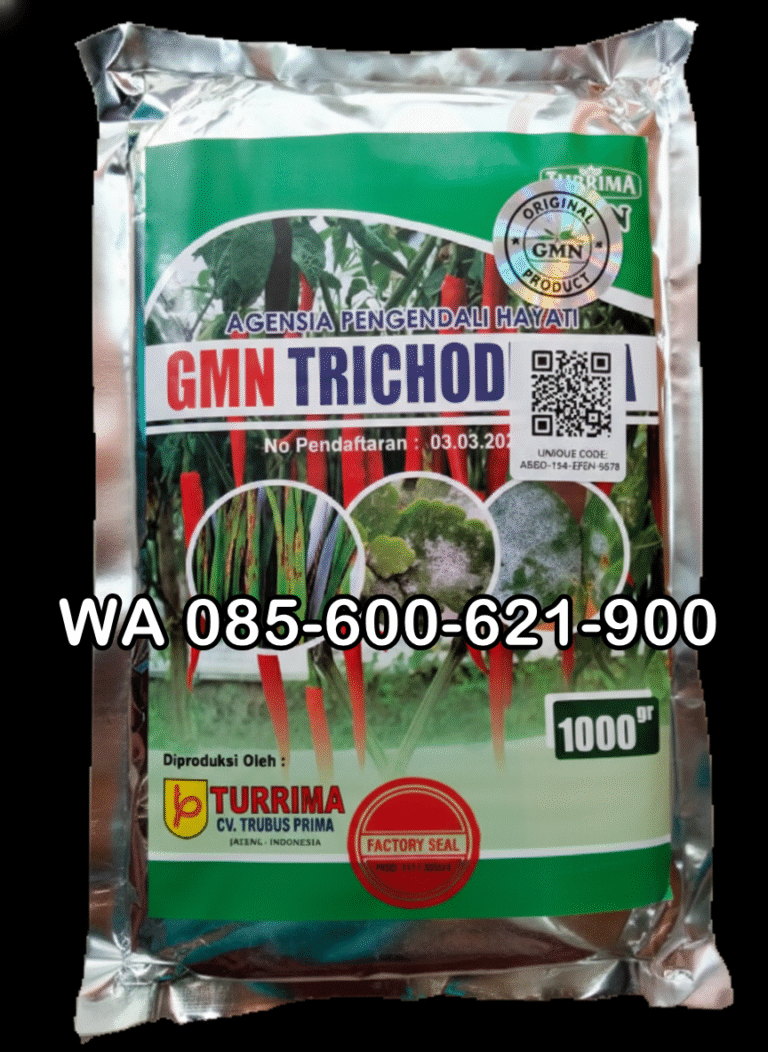 AMPUH!!! TELP! 0856-0062-1900, TOKO Obat Padi inpari 32 premium kerdil Maros, SUPPLIER Obat Padi jepang paling bagus Gowa