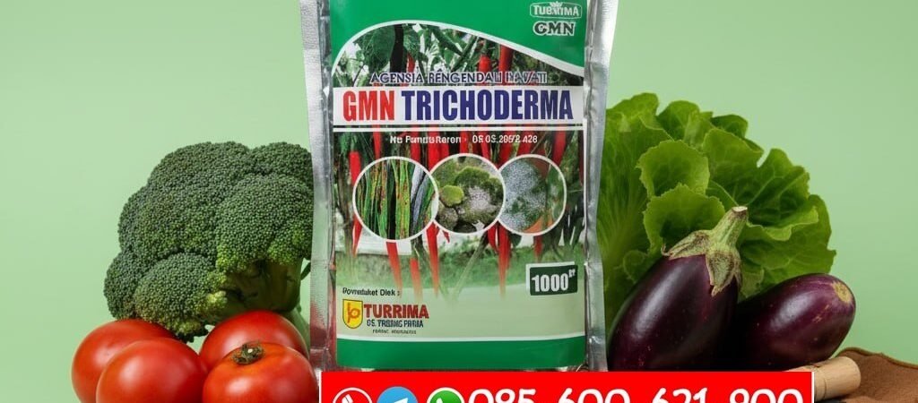 SEDANG DISKON!!! TELP! 0856-0062-1900, TOKO Pupuk organik Padi hibrida f1 Belu, SUPPLIER Pupuk anakan banyak Padi hibrida pionner Ende