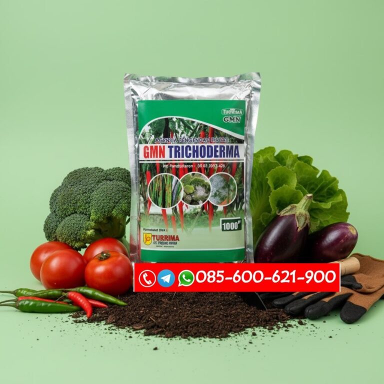 SEDANG DISKON!!! TELP! 0856-0062-1900, TOKO Pupuk organik Padi hibrida f1 Belu, SUPPLIER Pupuk anakan banyak Padi hibrida pionner Ende